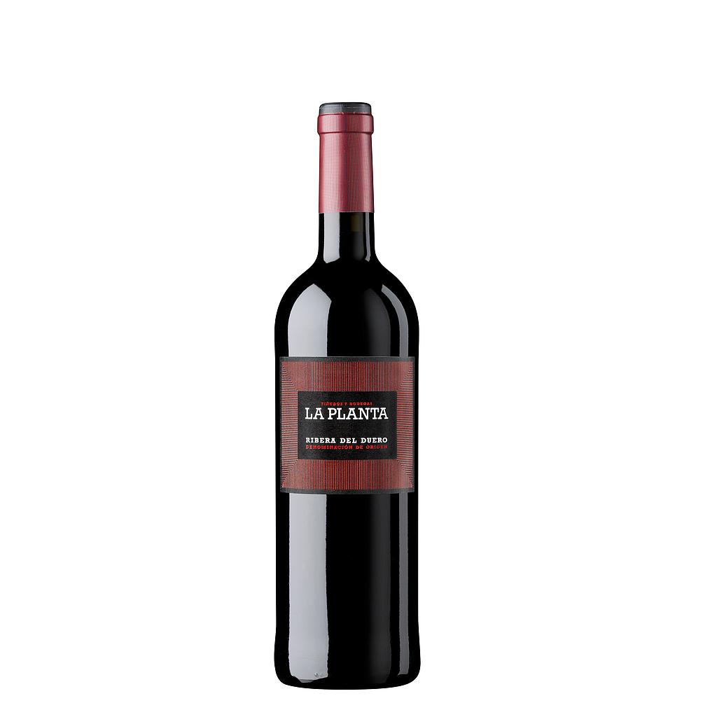 VINO ARZUAGA LA PLANTA 750 ML
